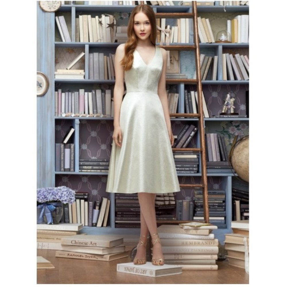 Lela Rose V-Neck Metallic Fit & Flare Dress Size 8